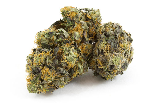 Black-Domina-Indica-1-2-1.jpg Black Domina Indica - Image 1