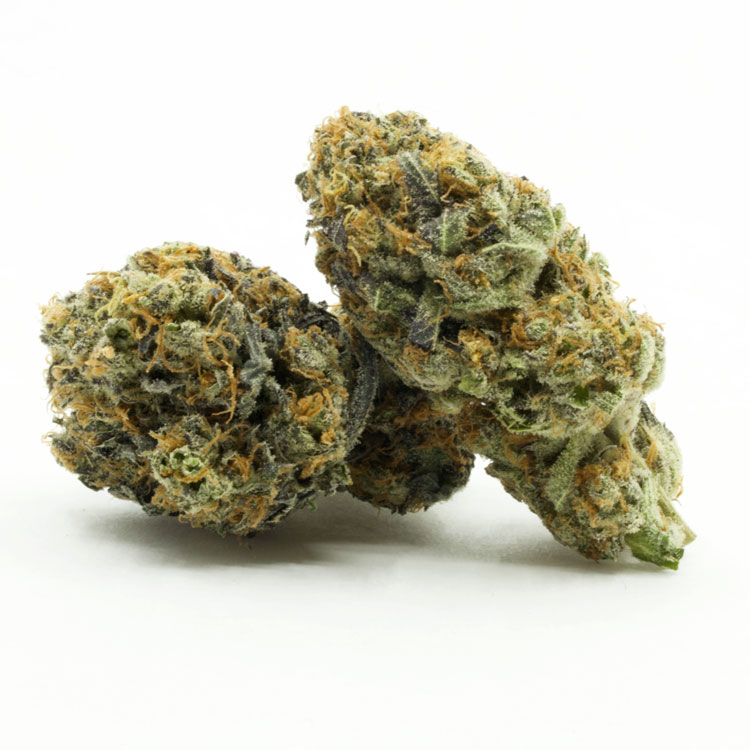 Knight-Rider-2-1.jpg Knight Rider - Image 1