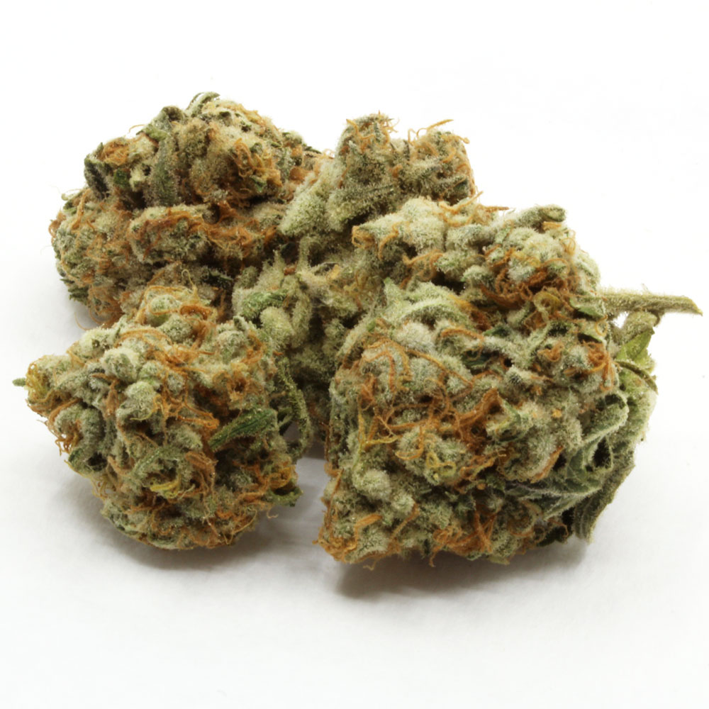 Slurricane-Flower-2-1.jpg Slurricane Flower - Image 1